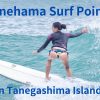 Kanehama beach is a major surf point on Tanegashima