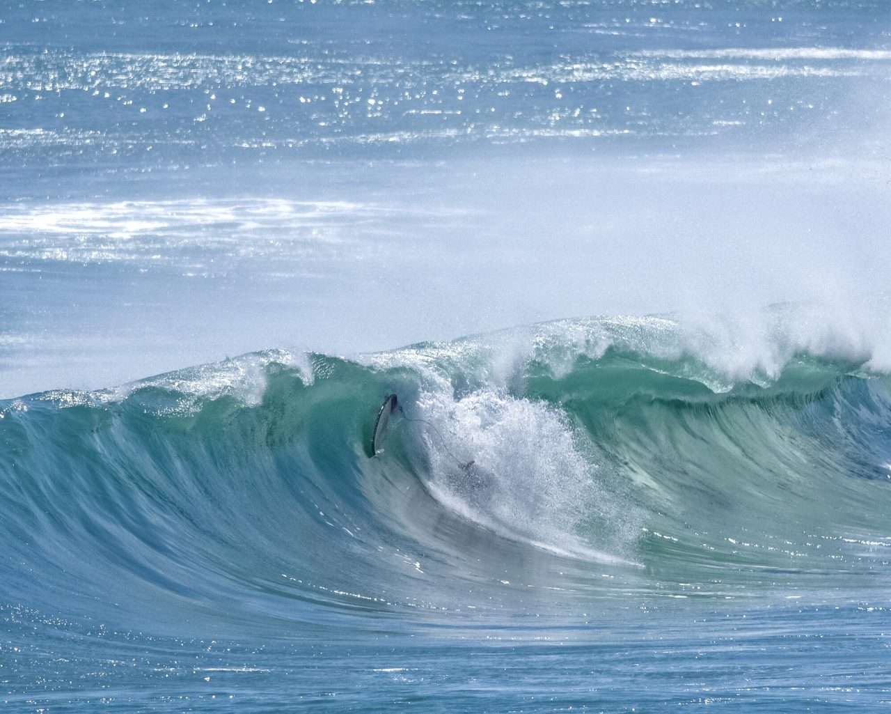 種子島の超ド級の大波に、木の葉のように舞うサーフボード2