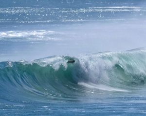 種子島の超ド級の波に、木の葉のように舞うサーフボード3