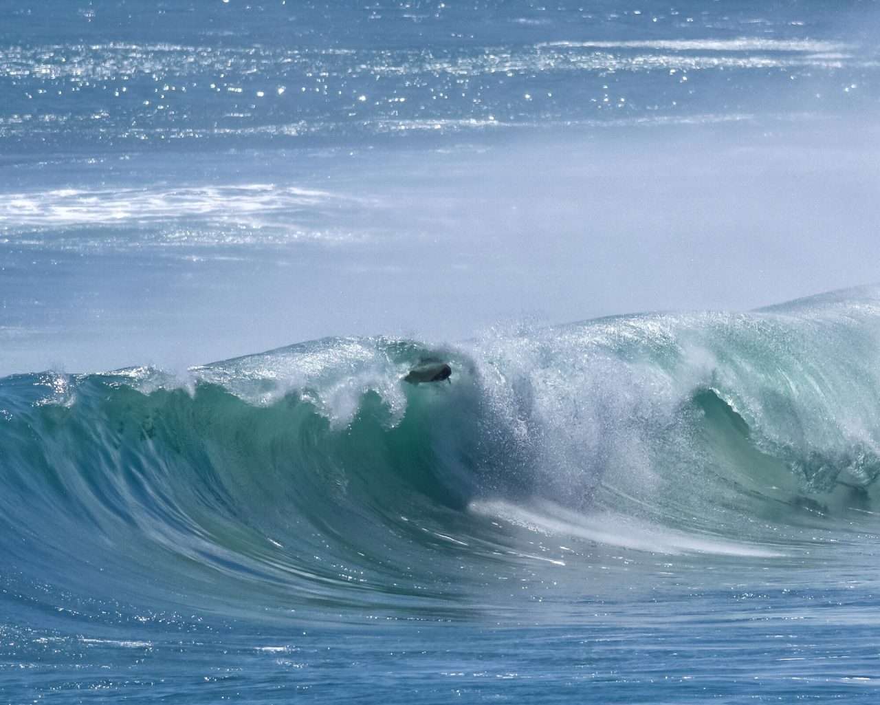 種子島の超ド級の大波に、木の葉のように舞うサーフボード3