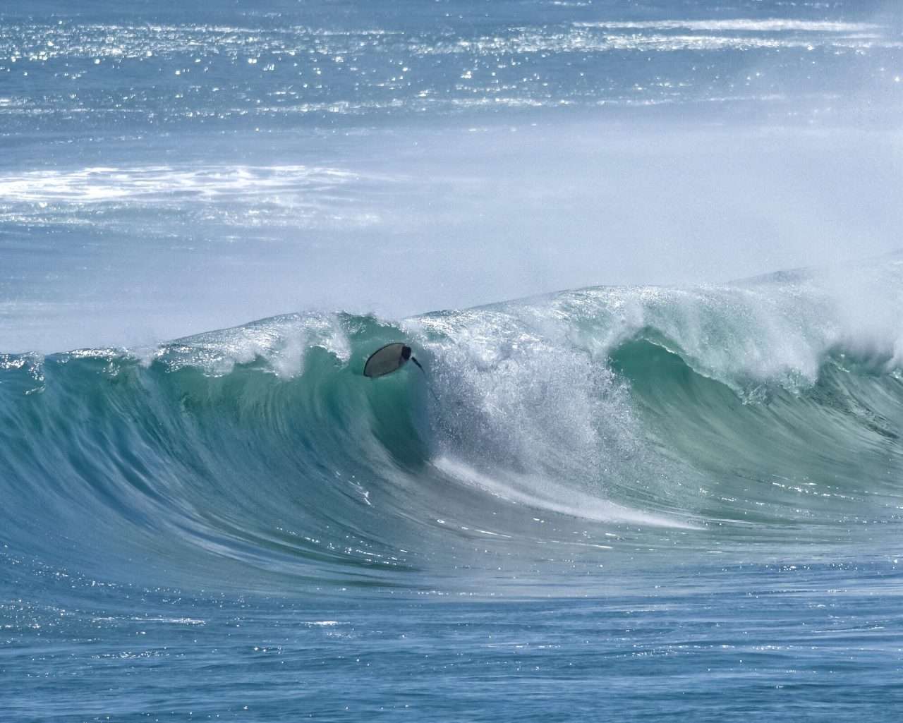 種子島の超ド級の大波に、木の葉のように舞うサーフボード4