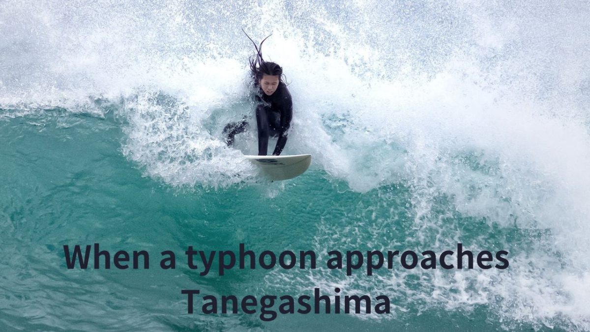 What is the impact on surfing when a typhoon approaches Tanegashima?