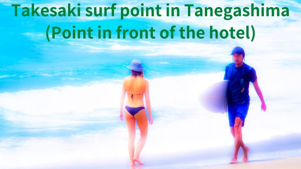 South coast of Tanegashima, famous Takezaki surf point (in front of the hotel)