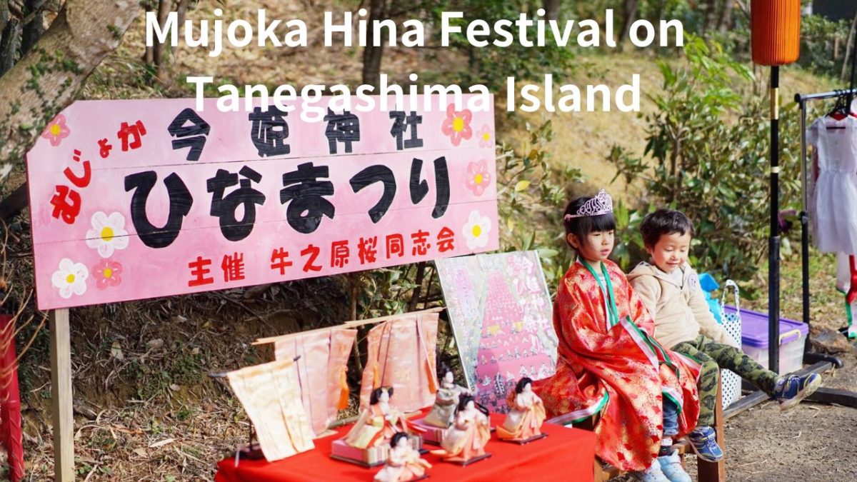 Tanegashima's God of Safe Childbirth, Cute Hina Festival at Imahime Shrine