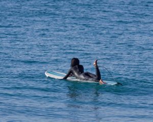 IMG_1466
