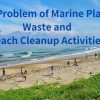 Marine Plastic Waste Problem and Tanegashima Beach Cleanup Activities