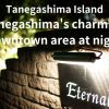 Introducing Tanegashima's charming nightlife district