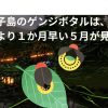 種子島の源氏ボタルは５月が見頃、蛍の撮影方法について紹介