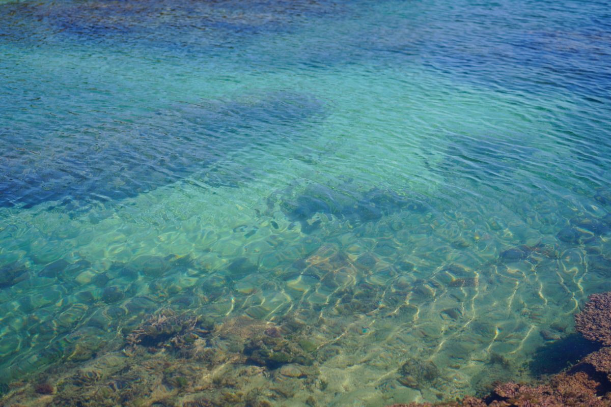 種子島の透き通る海
